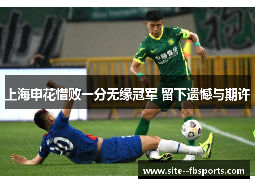 上海申花惜败一分无缘冠军 留下遗憾与期许