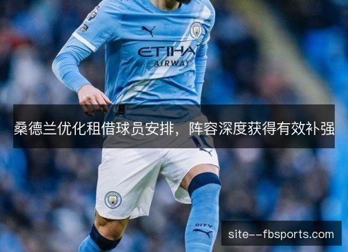 桑德兰优化租借球员安排,阵容深度获得有效补强 桑德兰优化租借球员安排,阵容深度获得有效补强